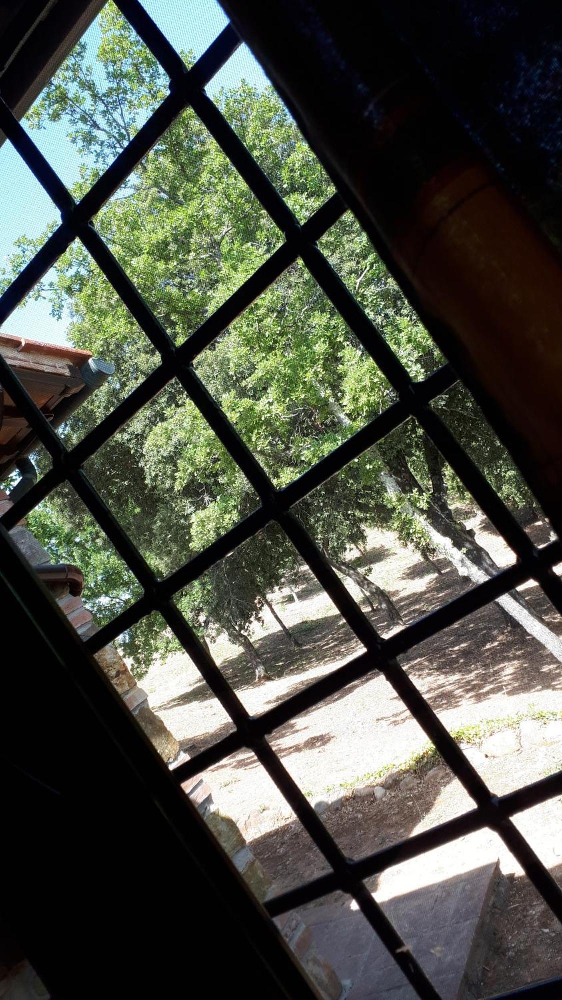 Agriturismo Podere San Lorenzo 1866 Massa Marittima Exteriör bild