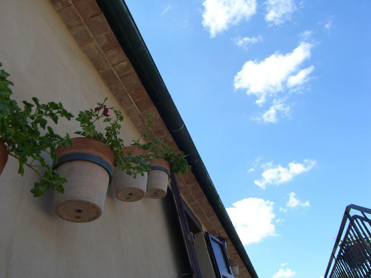 Agriturismo Podere San Lorenzo 1866 Massa Marittima Exteriör bild